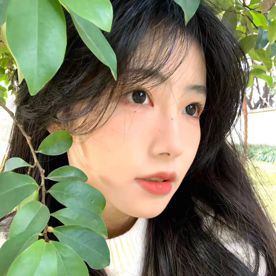 歌磨