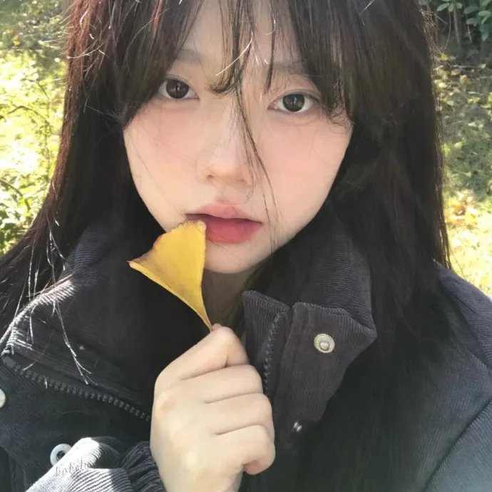赤毛